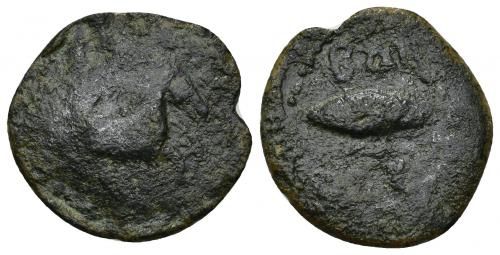 9 - HISPANIA ANTIGUA. BAILO. Divisor. A/ Caballo avanzando a der. R/ Atún a izq., debajo creciente con punto (no visible), encima BAIL(O). AE 4,06 g. 22,5 mm. I-no. ACIP-926. Pátina oscura. RC/BC+. Muy rara. Compra privada Pliego (1999).