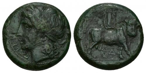 22 - GRECIA ANTIGUA. CAMPANIA. CALES. AE. Post. 268 a.c. A/ Cabeza laureada a izq., detrás gallo, delante CALENO. R/ Toro androsopo a der., encima lira, debajo D. AE 7,13 g. 20,1 mm. COP-320 vte. SBG-547 vte. Concreciones. Pátina verde. MBC-/MBC.