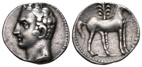 3 - HISPANIA ANTIGUA. EMISIONES HISPANO-CARTAGINESAS. Siclo. A/ Cabeza masculina a izq. R/ Caballo delante de palmera parado a der. AR 7,30 g. 20,2 mm. I-535. ACIP-603. Rayita en rev. MBC.