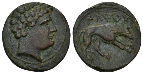 7 - HISPANIA ANTIGUA. ILTIRTA. As. A/ Cabeza masculina con collar a der. R/ Loba a der., encima ILTiRTa. AE 9,77 g. 24,4 mm. I-1476. ACIP-1246. Pátina roja con tonos verdes. MBC+/MBC. Rara.