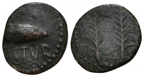 163   -  HISPANIA ANTIGUA. OSTUR. Semis. A/ Dos palmas. R/ Bellota a der., debajo OSTVR. AE 4,8 g. 21 mm. I-1975. ACIP-2432. BC/BC+.