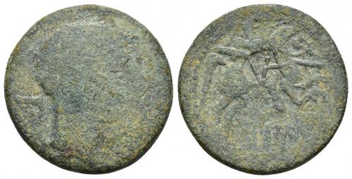 25 - HISPANIA ANTIGUA. BILBILIS. A/ Cabeza masculina a der., delate delfín, detrás signo ibérico Bi. R/ Jinete lancero a der., debajo BiLBiLIS. Contramarca VA nexadas dentro de círculo en rev. AE 12,12 g. 28,1 mm. CNH-11. ACIP-1573. CC-2178, mismo ejemplar. RC. Muy escasa.