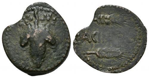 8 - HISPANIA ANTIGUA. ACINIPO. As. A/ Racimo, a los lados dos estrellas. R/ Dos espigas a der., en medio ACINIPO. AE 6,74 g. 25,1 mm. I-49. ACIP-2454. Cospel irregular y vano. MBC-. Rara.