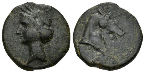 14 - HISPANIA ANTIGUA. EMISIONES HISPANO-CARTAGINESAS. Unidad. A/ Cabeza femenina con tocado vegetal a izq. R/ Cabeza de caballo a der. AE 8,86 g. 23 mm. I-514. ACIP-578. Rayitas en anv. Pátina oscura. MBC. Escasa.