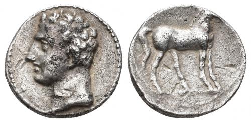 17 - HISPANIA ANTIGUA. EMISIONES HISPANO-CARTAGINESAS. 1/2 shekel. A/ Cabeza masculina a izq. R/ Caballo a der. AR 3,55 g. 16,5 mm. I-542. ACIP-604. CC-5619, mismo ejemplar. Pequeñas erosiones y golpecitos. MBC. Escasa.