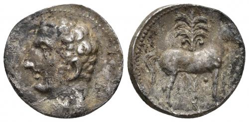18 - HISPANIA ANTIGUA. EMISIONES HISPANO-CARTAGINESAS. Shekel. A/ Cabeza masculina a izq. R/ Caballo parado a der. delante de palmera, entre las patas glóbulo. AR 6,92 g. 21,5 mm. I-538. ACIP-614. CC-5662, mismo ejemplar. Concreciones. MBC/MBC+. Escasa.
