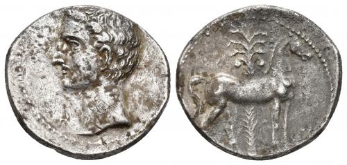 19 - HISPANIA ANTIGUA. EMISIONES HISPANO-CARTAGINESAS. Shekel. A/ Cabeza masculina a izq., delante yod. R/ Caballo parado a der. delante de palmera. AR 6,65 g. 22,7 mm. I-548. ACIP-621. CC-269, mismo ejemplar. Concreciones y rayitas. MBC+/MBC. Rarísima.
