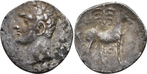 20 - HISPANIA ANTIGUA. EMISIONES HISPANO-CARTAGINESAS. Shekel. A/ Cabeza masculina a izq. R/ Caballo parado a der. delante de palmera, entre las patas zayim. AR 6,97 g. 21 mm. I-549. ACIP-626. CC-5663, mismo ejemplar. Concreciones. MBC-.