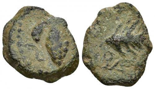 3 - HISPANIA ANTIGUA. BAICIPO. Semis. A/ Racimo de uvas, a izq. S. R/ Palma a der., debajo BA(ICIPO). AE 6,69 g. 21,2 mm. I-183. ACIP-2507. CC-3486, mismo ejemplar. Pátina verde. BC+. Escasa.