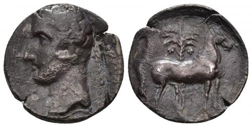 3010 - HISPANIA ANTIGUA. EMISIONES HISPANO-CARTAGINESAS. Shekel. A/ Cabeza masculina a izq. R/ Caballo parado a der. delante de palmera. AR 5,60 g. 22 mm. I-535. ACIP-603. CC-5618, mismo ejemplar. Pátina plomiza. Cospel abierto. BC/MBC. Escasa.