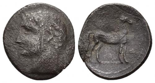 3012 - HISPANIA ANTIGUA. EMISIONES HISPANO-CARTAGINESAS. 1/2 shekel. A/ Cabeza masculina a izq. R/ Caballo parado a der. AR 3,25 g. 17,5 mm. I-550. ACIP-607. CC-249, mismo ejemplar. Superficies erosionadas. BC/BC+. Rara.