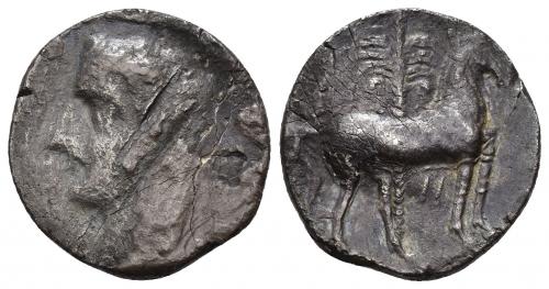 3014 - HISPANIA ANTIGUA. EMISIONES HISPANO-CARTAGINESAS. Shekel. A/ Cabeza masculina a izq. R/ Caballo parado a der. delante de palmera, entre las patas zayim. AR 5,69 g. 21,4 mm. I-549. ACIP-626. CC-278, mismo ejemplar. Rayas y erosión en anv. RC/MBC.