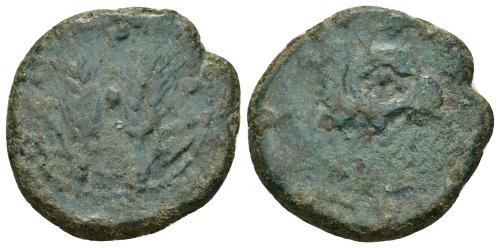 3028 - HISPANIA ANTIGUA. ITUCI. Unidad. A/ Dos espigas, a los lados glóbulos y encima creciente con glóbulo. R/ Jinete con rodela a izq., debajo ley. 'iptgr no visible. AE 12,39 g. 26,6 mm. I-1602. ACIP-841. Pátina verde. BC/RC. Rara. Ex colección Cores.