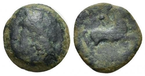 2001 - COLECCIÓN CORES. SICILIA-CARTAGO (Mediados s. IV-300 a.C.). A/ Cabeza de Tanit a izq. R/ Caballo corriendo a der., detrás estrella. AE 3,69 g. 16 mm. COP-96 var.; CC-5207, mismo ejemplar (corr.). RC.