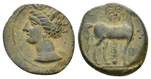 2015 - COLECCIÓN CORES. SICILIA-CARTAGO (Mediados s. IV-300 a.C.). A/ Cabeza de Tanit a izq., detrás glóbulo. R/ Caballo parado a der. delante de palmera, delante 3 glóbulos. AE 3,07 g. 18 mm. COP-119; J-L. App. 3.7; CC-5357, mismo ejemplar. Pátina verde. MBC.