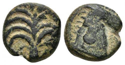 2002 - COLECCIÓN CORES. SICILIA-CARTAGO (Mediados s. IV-300 a.C.). A/ Palmera. R/ Cabeza de caballo a der. AE 4,45 g. 15 mm. COP-103; CC-5209, mismo ejemplar. Cospel abierto. Pátina oscura. MBC.