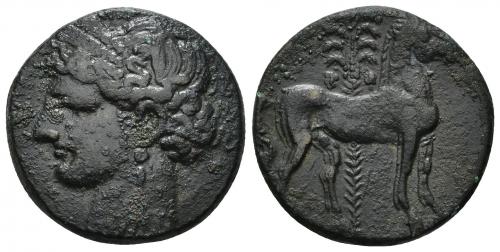 2027 - COLECCIÓN CORES. CARTAGO (264-221 a.C.). A/ Cabeza de Tanit a izq. R/ Caballo parado a der. delante de palmera. AE 10,59 g. 26 mm. COP-191; CC-5410, mismo ejemplar. Pátina oscura con concreciones. MBC. Muy escasa.