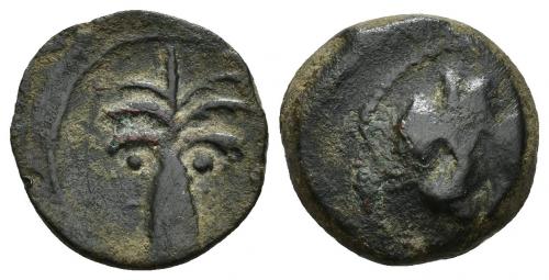 2003 - COLECCIÓN CORES. SICILIA-CARTAGO (Mediados s. IV-300 a.C.). A/ Palmera. R/ Cabeza de caballo a der.?. AE 3,9 g. 17 mm. COP-105?; CC-5210, mismo ejemplar. Pátina oscura. BC/MBC.