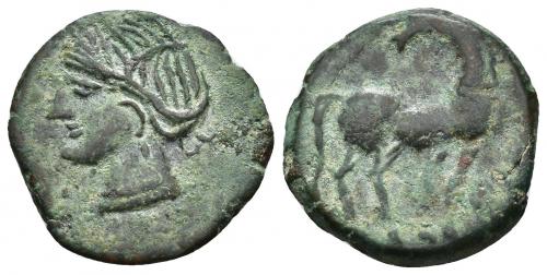 2032 - COLECCIÓN CORES. CARTAGO (221-210 a.C.). A/ Cabeza de Tanit a izq. R/ Caballo parado a der. con cabeza vuelta. AE 5,1 g. 22 mm. COP-307; CC-5427, mismo ejemplar. Pátina verde. MBC/MBC-.