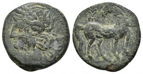 2038 - COLECCIÓN CORES. CARTAGO (221-210 a.C.). A/ Cabeza de Tanit a izq. R/ Caballo parado a der. con cabeza vuelta; palmeta sobre la grupa. AE 6,03 g. 31 mm. COP-317; CC-5445, mismo ejemplar. Superficies erosionadas. MBC-.