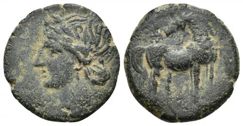 2039 - COLECCIÓN CORES. CARTAGO (221-210 a.C.). A/ Cabeza de Tanit a izq. R/ Caballo parado a der. con cabeza vuelta; delante letra, palmeta sobre la grupa. AE 5,72 g. 22,5 mm. COP-317; CC-5446, mismo ejemplar. Pátina oscura. MBC-.