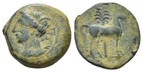 2004 - COLECCIÓN CORES. SICILIA-CARTAGO (Mediados s. IV-300 a.C.). A/ Cabeza de Tanit a izq. R/ Caballo parado a der. delante de palmera. AE 3,85 g. 17 mm. COP-109 ss.; CC-5211, mismo ejemplar. Pátina verde. MBC-.