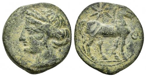 2044 - COLECCIÓN CORES. CARTAGO (221-210 a.C.). A/ Cabeza de Tanit a izq. R/ Caballo parado a der., encima estrella, delante letra. AE 7,02 g. 22 mm. MAA-92; CC-5454. Vano en rev. Pátina verde claro. MBC-/MBC.