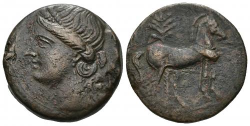 2046 - COLECCIÓN CORES. CARTAGO O CECA ITALIANA (221-202 a.C.). A/ Cabeza de Tanit a izq. R/ Caballo parado a der. delante de palmera. AE 19,08 g. 24 mm. COP-344; CC-5456, mismo ejemplar. Defectos de cospel. MBC.