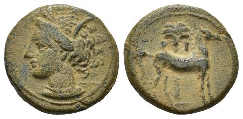 2005 - COLECCIÓN CORES. SICILIA-CARTAGO (Mediados s. IV-300 a.C.). A/ Cabeza de Tanit a izq. R/ Caballo parado a der. delante de palmera. AE 3,13 g. 16,5 mm. COP-109 ss.; CC-5220, mismo ejemplar. Pátina verde terrosa. MBC.