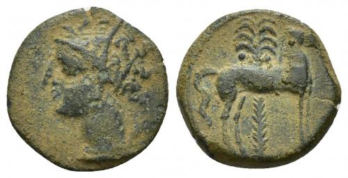 2006 - COLECCIÓN CORES. SICILIA-CARTAGO (Mediados s. IV-300 a.C.). A/ Cabeza de Tanit a izq. R/ Caballo parado a der. delante de palmera. AE 2,53 g. 16 mm. COP-109 ss.; CC-5275, mismo ejemplar. Pátina verde terrosa. MBC-/MBC.