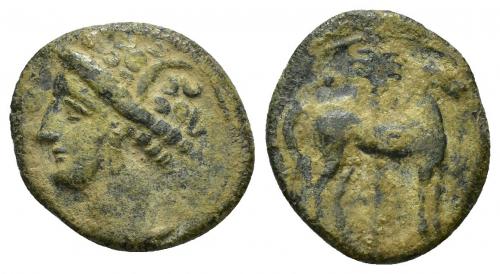 2008 - COLECCIÓN CORES. SICILIA-CARTAGO (Mediados s. IV-300 a.C.). A/ Cabeza de Tanit a izq. R/ Caballo parado a der. delante de palmera, encima glóbulo. AE 2,23 g. 17 mm. COP-114,115; J-L. App. 3.2; CC-5316, mismo ejemplar. Pátina verde terrosa. MBC/MBC-.
