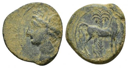 2009 - COLECCIÓN CORES. SICILIA-CARTAGO (Mediados s. IV-300 a.C.). A/ Cabeza de Tanit a izq. R/ Caballo parado a der. delante de palmera, delante glóbulo. AE 3,07 g. 17,5 mm. J-L. App. 3.3; CC-5317, mismo ejemplar. Pátina verde oscuro. BC+/MBC.