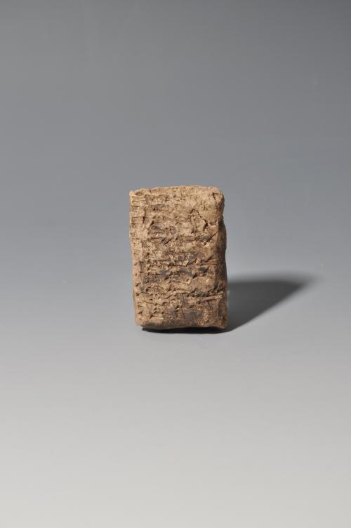 2005 - ARQUEOLOGÍA