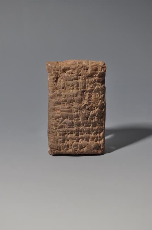 2006 - ARQUEOLOGÍA