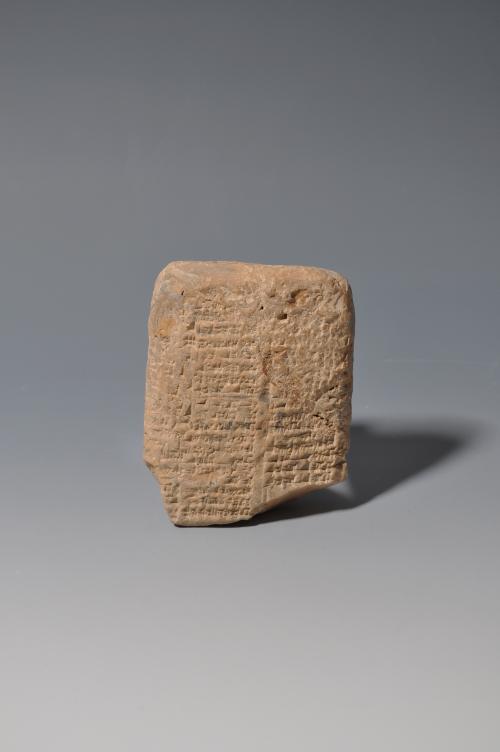 2007 - ARQUEOLOGÍA