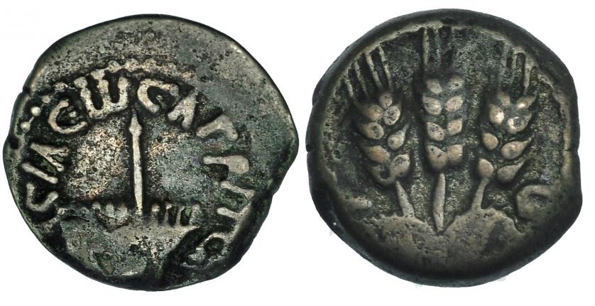 137   -  JUDEA. HERODES AGRIPA. Prutah. AE-17 (42-43 d.C.). A/ Sombrilla con flecos. R/ Tres espigas. SGI-5567. MBC-/MBC.