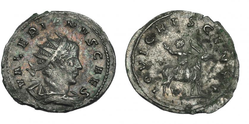 311   -  VALERIANO II. Antoniniano. R/ Júpiter niño montado en una cabra a der. IOVI CRESCENTI. RIC-3. Concreciones. MBC+.