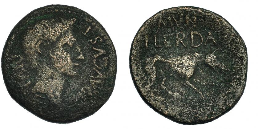 43   -  ILERDA. Augusto. As (27 a.C.-14 d.C.). A/ Cabeza a der. R/ Loba a der.; encima MVN/ILERDA. I-1487. RPC-260b. BC+.