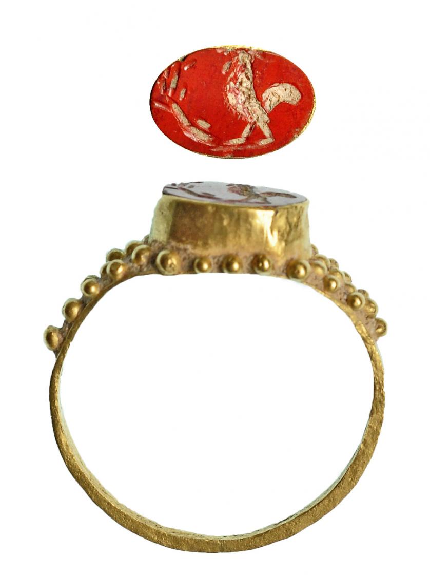 713   -  ROMA. Imperio Romano. Oro y jaspe naranja. Anillo con entalle con decoración de gallo a izquierda. Delante una rama. El aro decorado con técnica de granulado. Diámetro: 20 mm. Procedente de colección privada española años 1970-80.