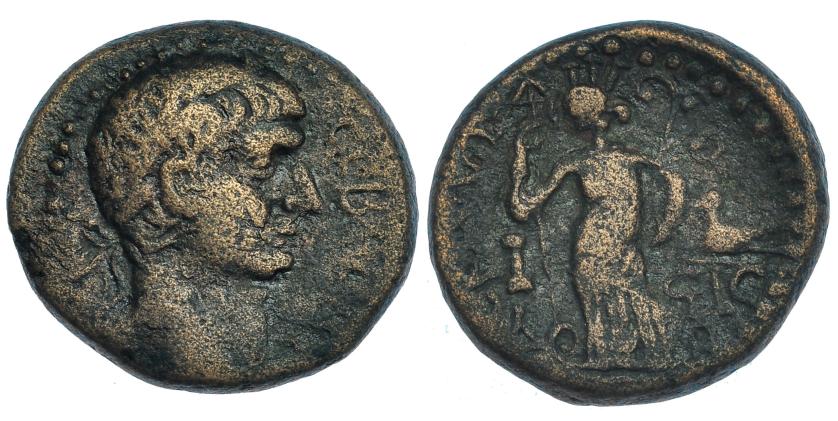 162   -  TRAJANO. AE-23. Judea (Ascalón). AE 12,54 g. SGI-1093. BC+. 