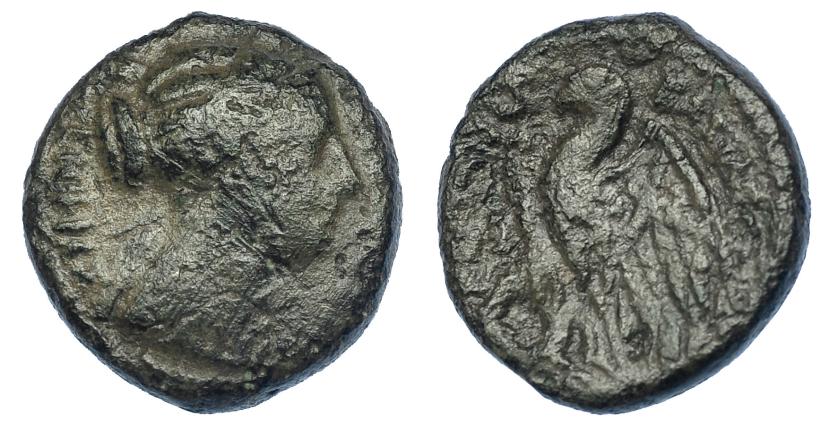 2131   -  GRECIA ANTIGUA. EGIPTO. REINO PTOLEMAICO. Berenice II (bajo Ptolomeo III). ¿Dicalco? A/ Cabeza de la reina a der., ley. griega. R/ Águila sobre haz de rayos a izq., ley. ilegible. AE 4,2 g. 16,5 mm. SBG-7822 vte. Pátina verde. RC.