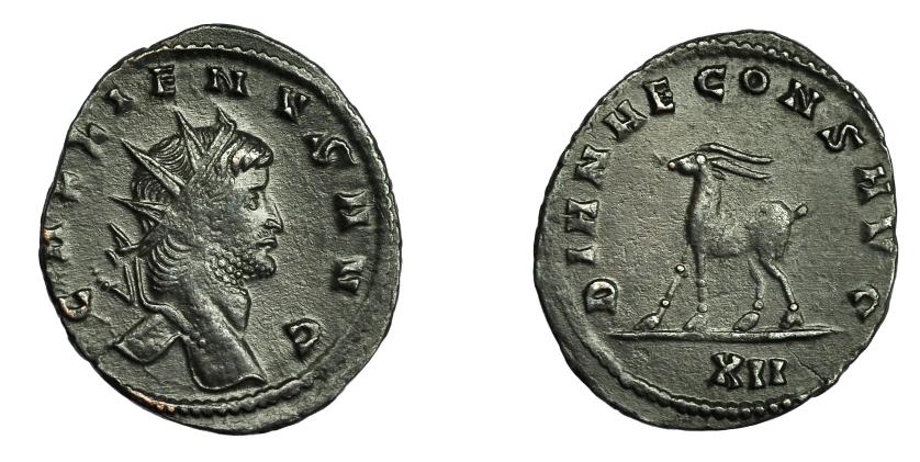 2297   -  IMPERIO ROMANO. GALIENO. Antoniniano. Roma (267-268). R/ Cabra a izq.; DIANAE CONS AVG, exergo XII. VE 2,25 g. 22,2 mm. RIC-181. Pátina oscura. MBC+.