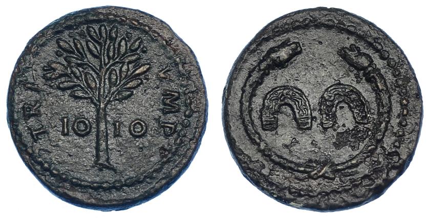 487   -  IMPERIO ROMANO. Domiciano. Cuadrante o tésera. Roma (81-96 d.C.). A/ Dos herraduras dentro de torques rematado en cabezas de serpiente. R/ Árbol, en campo IO-IO; TRI IMP. AE 2,61 g.  17,8 mm. MBC+. Pátina verde oscuro con pequeñas erosiones. Rara.