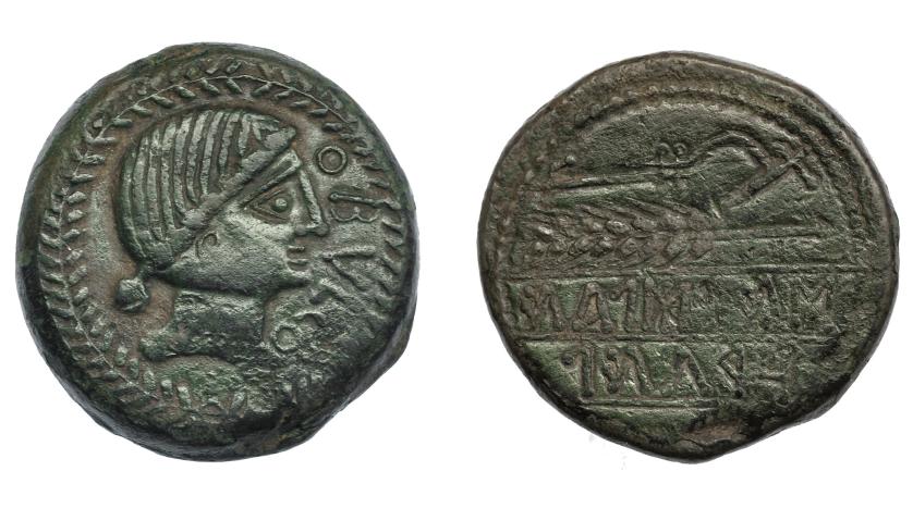 249   -  HISPANIA ANTIGUA. OBULCO. As de 10 monedas en libra. A/ Cabeza femenina con moño a der., delante interna OBVLCO, alrededor láurea. R/ Arado y espiga  a izq., debajo entre líneas SIBiBoLAI/URKaIL. AE 28,27 g. 34,4 m. I-1779. ACIP-2185. Pátina verde. MBC+/MBC-.