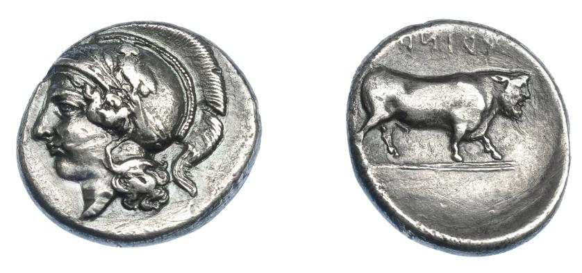 306   -  GRECIA ANTIGUA. CAMPANIA. Hyria. Didracma (400-335 a.C.). A/ Cabeza de Atenea a izq. con casco ático. R/ Toro a der.; YPINA (retrógrado). AR 6,24 g. 21,3 mm. COP-374. SBG-294. Pequeñas marcas. MBC+/MBC-. Ex col. Guadán 1308.