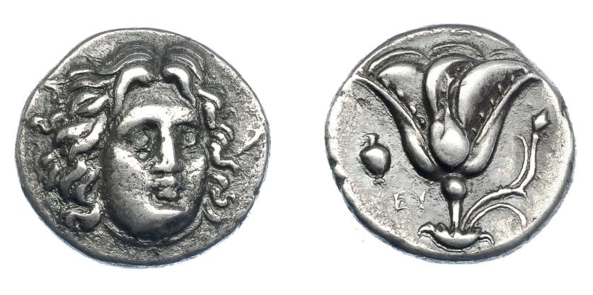 429   -  GRECIA ANTIGUA. ISLAS DE CARIA. Rodas. Didracma (305-275 a.C.). A/ Cabeza de Helios de frente a der. R/ Rosa, a izq. ánfora y EY. AR 6,60 g. 20,5 mm. COP-730. SBG-5048 vte. Leves concreciones. MBC/MBC+.  Ex col. Guadán 2388.