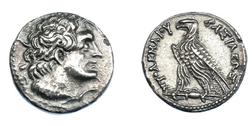 453   -  GRECIA ANTIGUA. EGIPTO. Reino Ptolemaico. Ptolomeo V. Tetradracma (204-180 a.C.). A/ Cabeza de Ptolomeo I diademada y con égida a der. R/ Águila a izq., sobre haz de rayos; ΠΤΟΛΕΜΑΙΟΥ ΒΑΣΙΛΕΩΣ. AR 13,02 g. 25,2 mm. COP-244. SBG-7856. MBC+/EBC-. Muy escasa en esta conservación. Ex col. Guadán 2724.