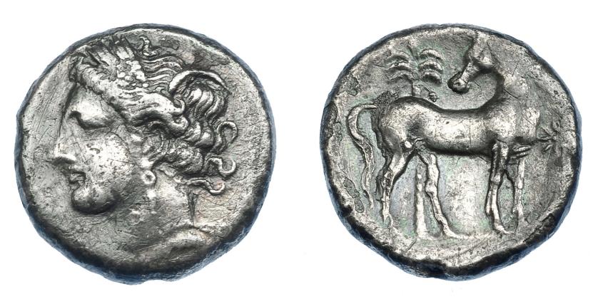 459   -  GRECIA ANTIGUA. ZEUGITANIA. Cartago. Siclo (300-260 a.C.). A/ Cabeza de Tanit a izq. R/ Caballo a der. con cabeza vuelta, detrás palmera; a la der. estrella de 8 puntas. AR 7,35 g. 19,4 mm. COP-141. SBG-6491. Pequeñas marcas y erosiones. MBC-/MBC.  Ex col. Guadán 3013.