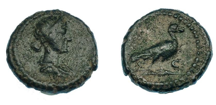 503   -  IMPERIO ROMANO. ANÓMIMO (periodo de Domiciano a Antonino Pío). Cuadrante. Roma (81-161). A/ Busto diademado y drapeado de  Venus a der. R/ Paloma a der., S-C. AE 2,42 g. 14,3 mm. RIC-24. Pátina verde oscuro. MBC-. Muy rara.