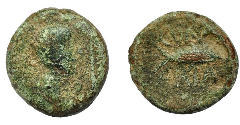 1316   -  HISPANIA ANTIGUA. CUMBARIA. Semis. A/ Cabeza masculina a der., delante palma, detrás S. R/ Atún a der., CVNBARIA. AE 12,38 g. 24,3 mm. I-881. ACIP-2619. Pátina verde con erosiones. BC-/BC. Rarísima. 